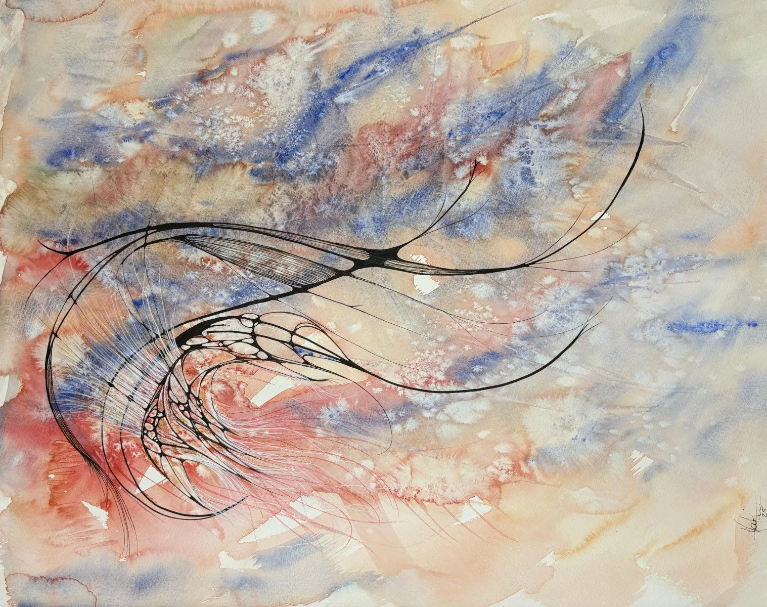la crevette joyeuse - aquarelle et encre,  16 x 20, 300$ 