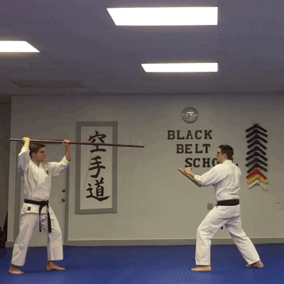  Butoku Kai Kobudo&nbsp;  Bo (long staff) and Tonfa (handled baton) shown here. 