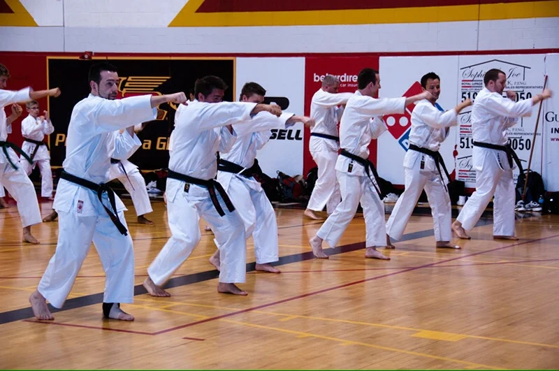  Annual training in Guelph, ON, Canada at the Zen Bei Butoku Kai International Summer Camp 