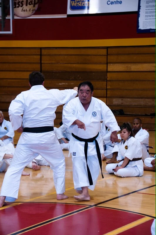  Annual training in Guelph, ON, Canada at the Zen Bei Butoku Kai International Summer Camp 