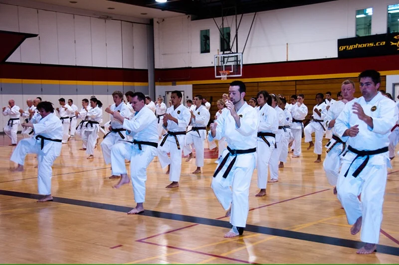  Annual training in Guelph, ON, Canada at the Zen Bei Butoku Kai International Summer Camp 