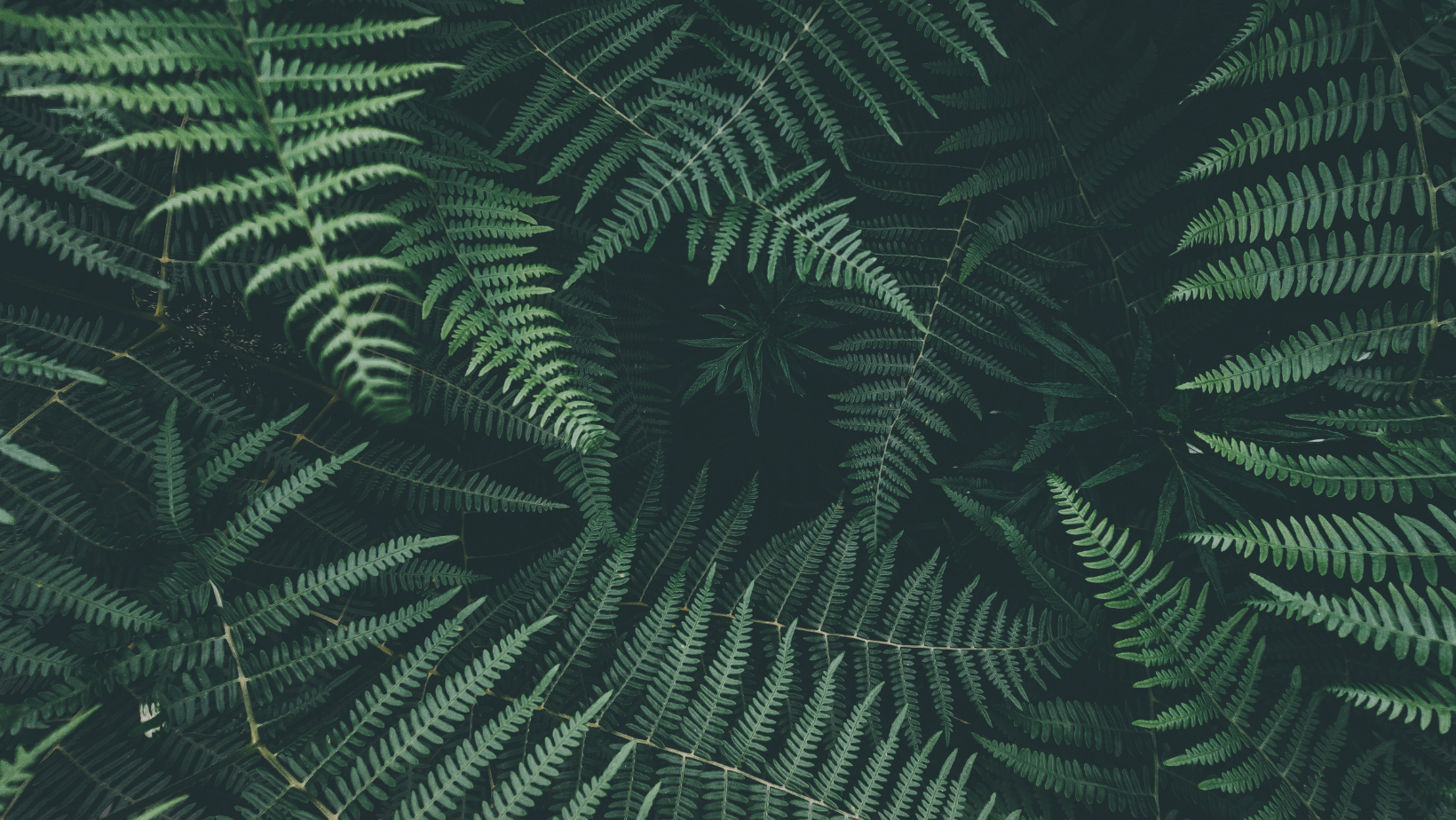 Liberate Your Wild: Adventure Begins September 23rd