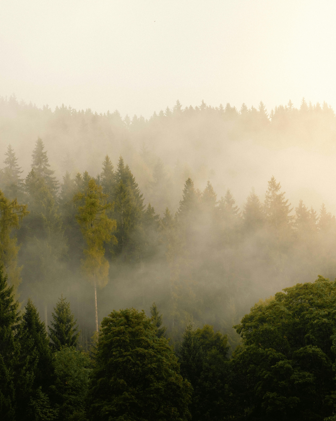 Therapeutic Breathwork
