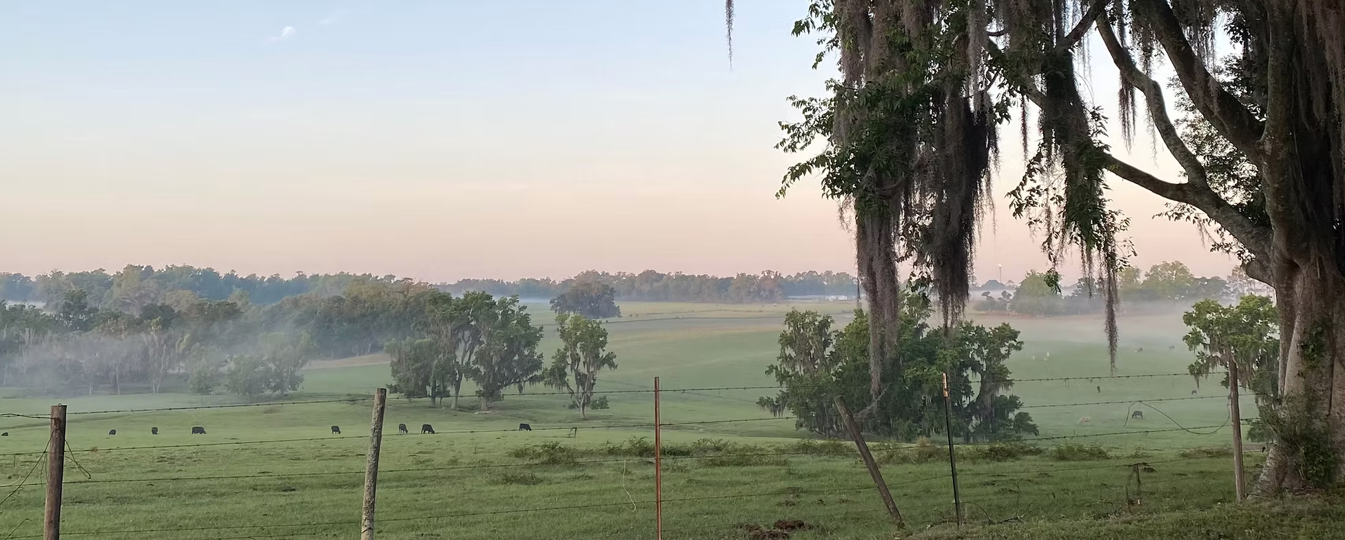 Somatic Awakening Retreat: October 2026 