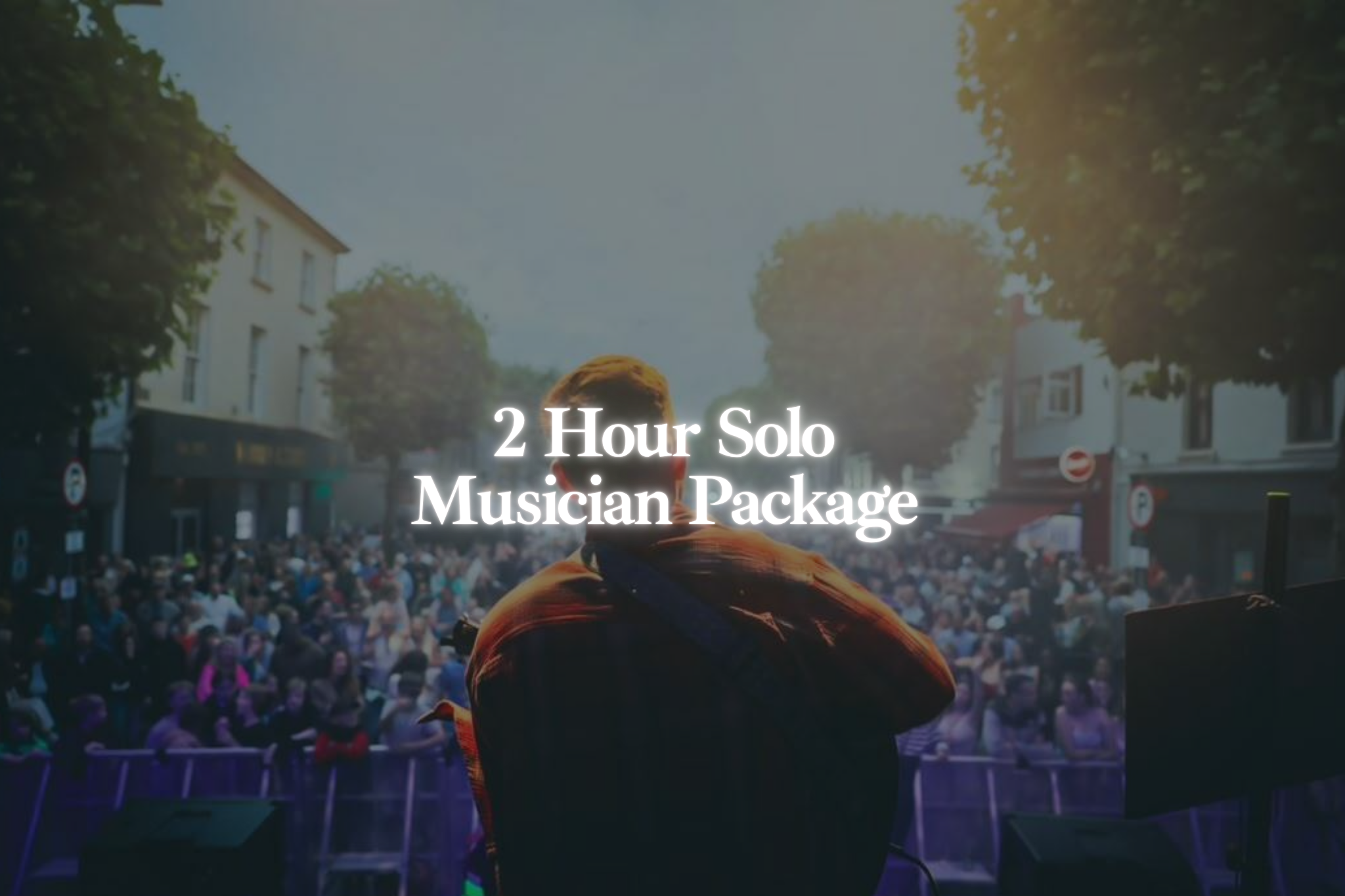 Back view of a solo musician performing on stage with a crowd in the background, titled '2 Hour Solo Musician Package'.