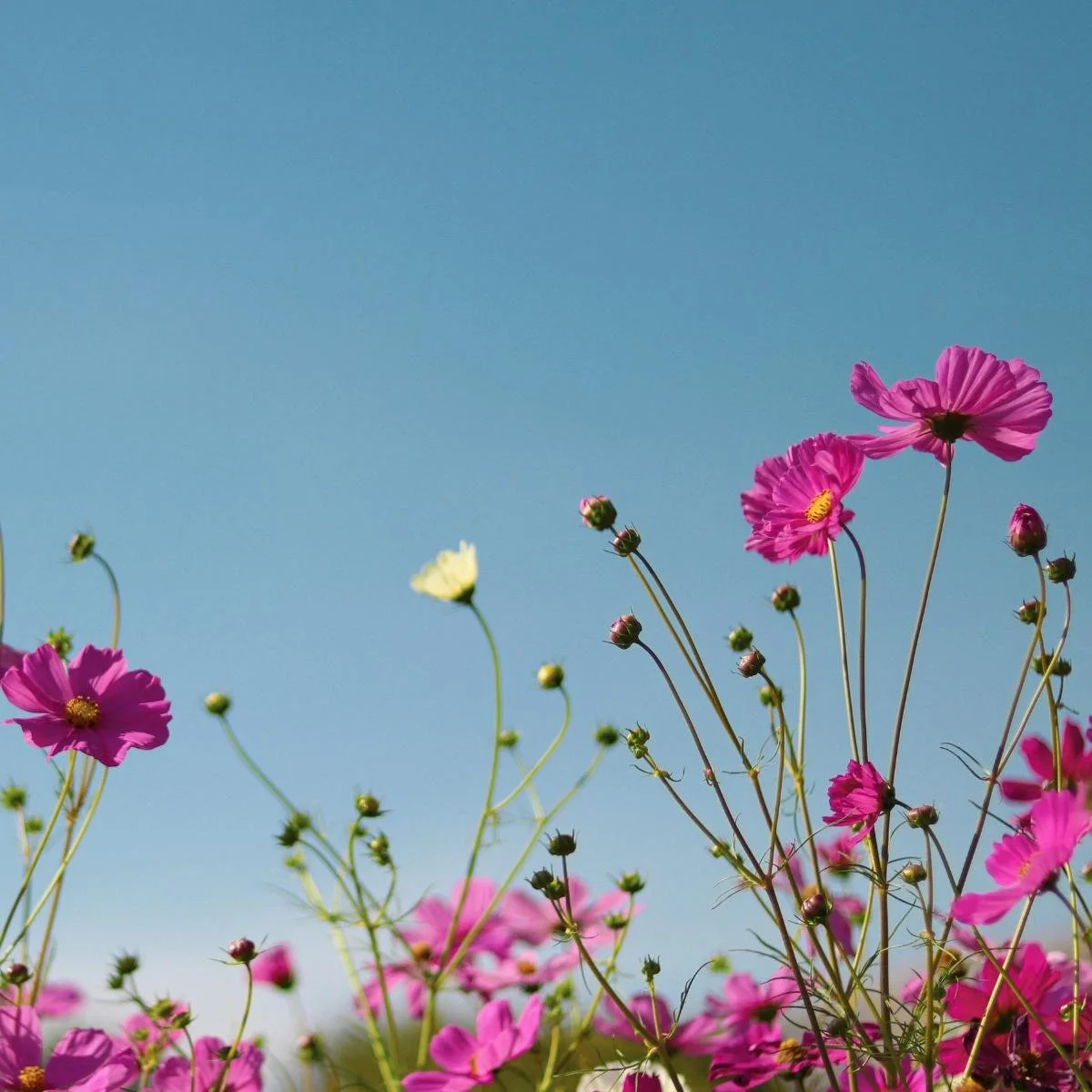 Intuition for Children