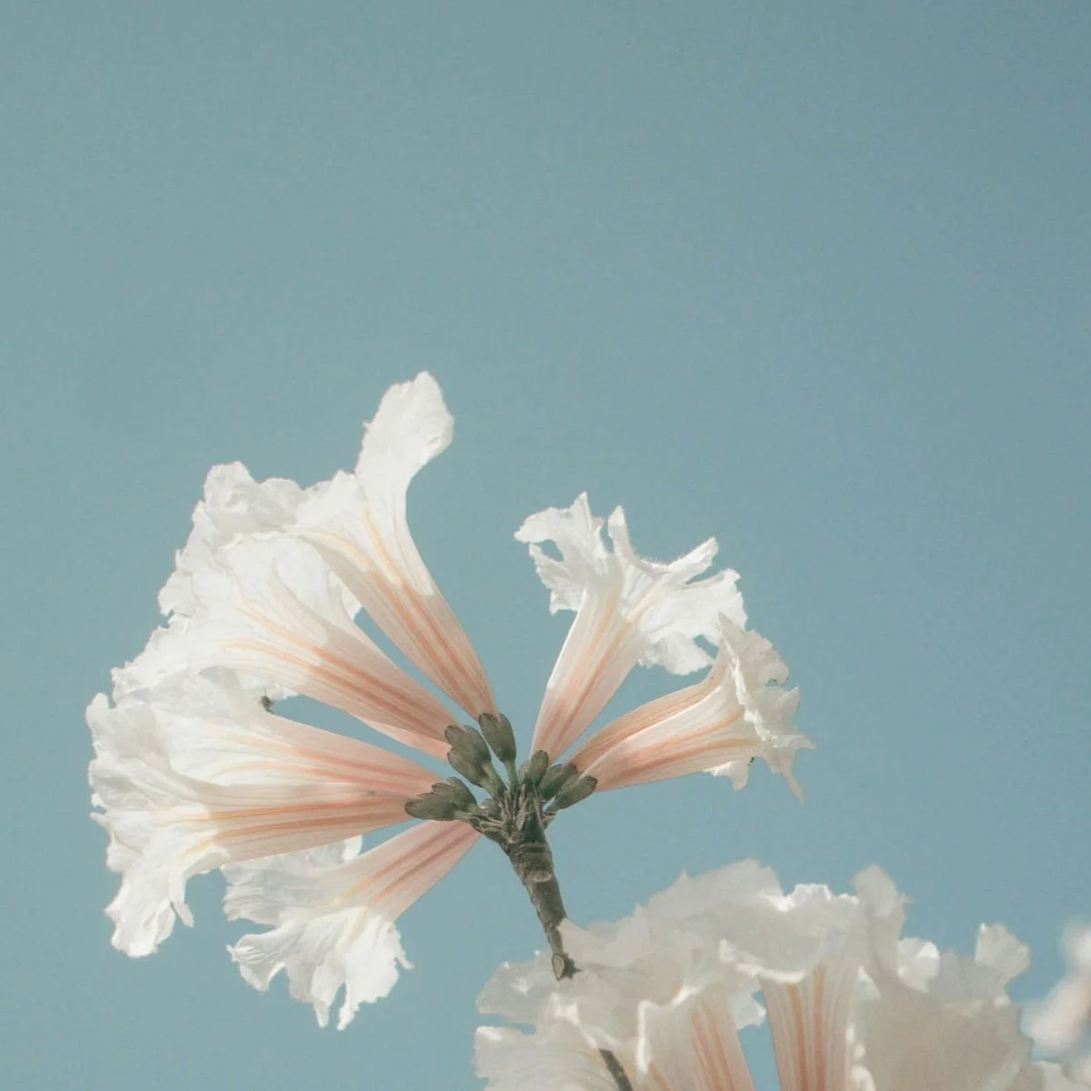 When You Feel Called to Create — But You’re Not Ready Yet