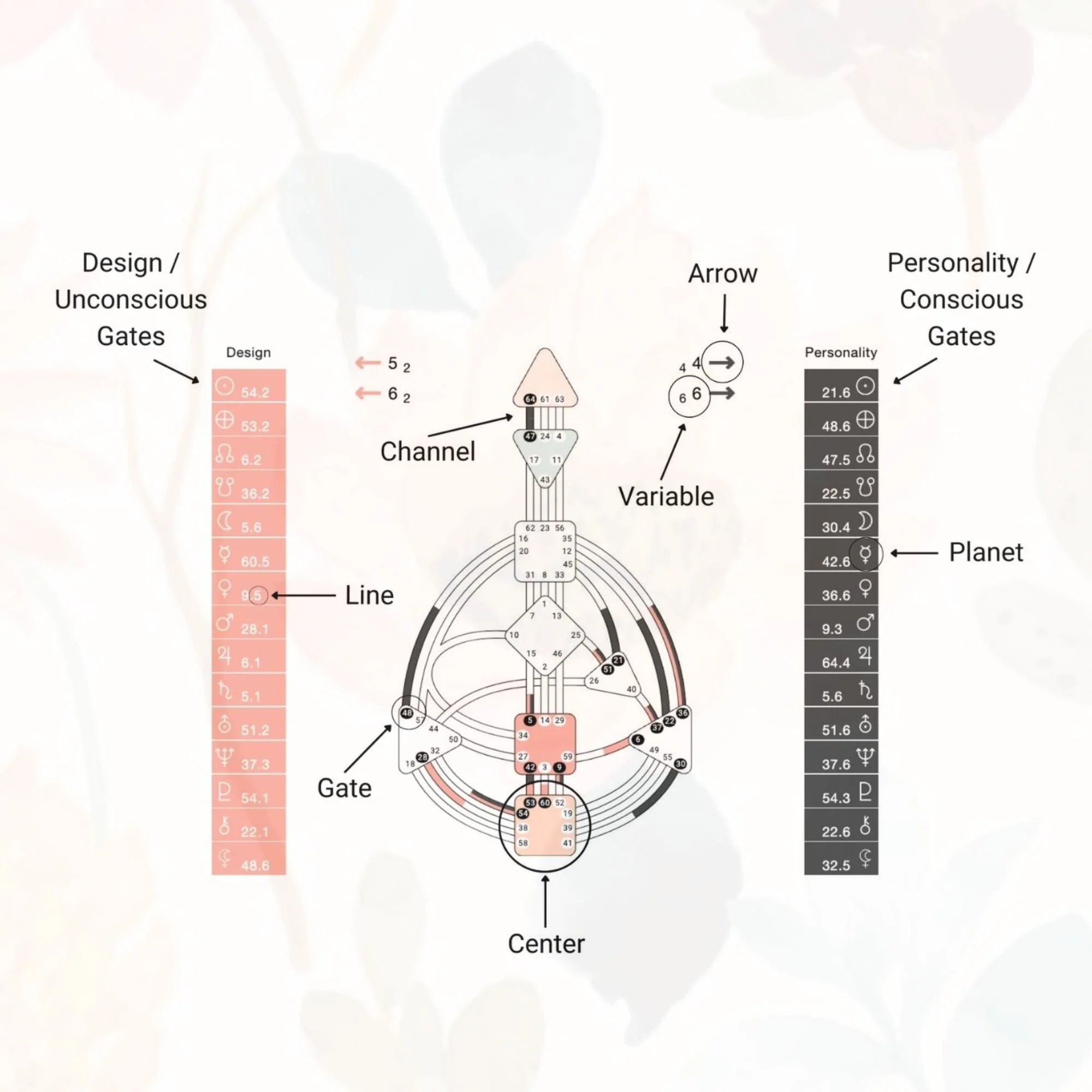 Diagram of astrological chart with labels showing design or unconscious gates on the left in red, personality or conscious gates on the right in black, a central channel, arrow, variable, line, gate, center, and planet symbols.