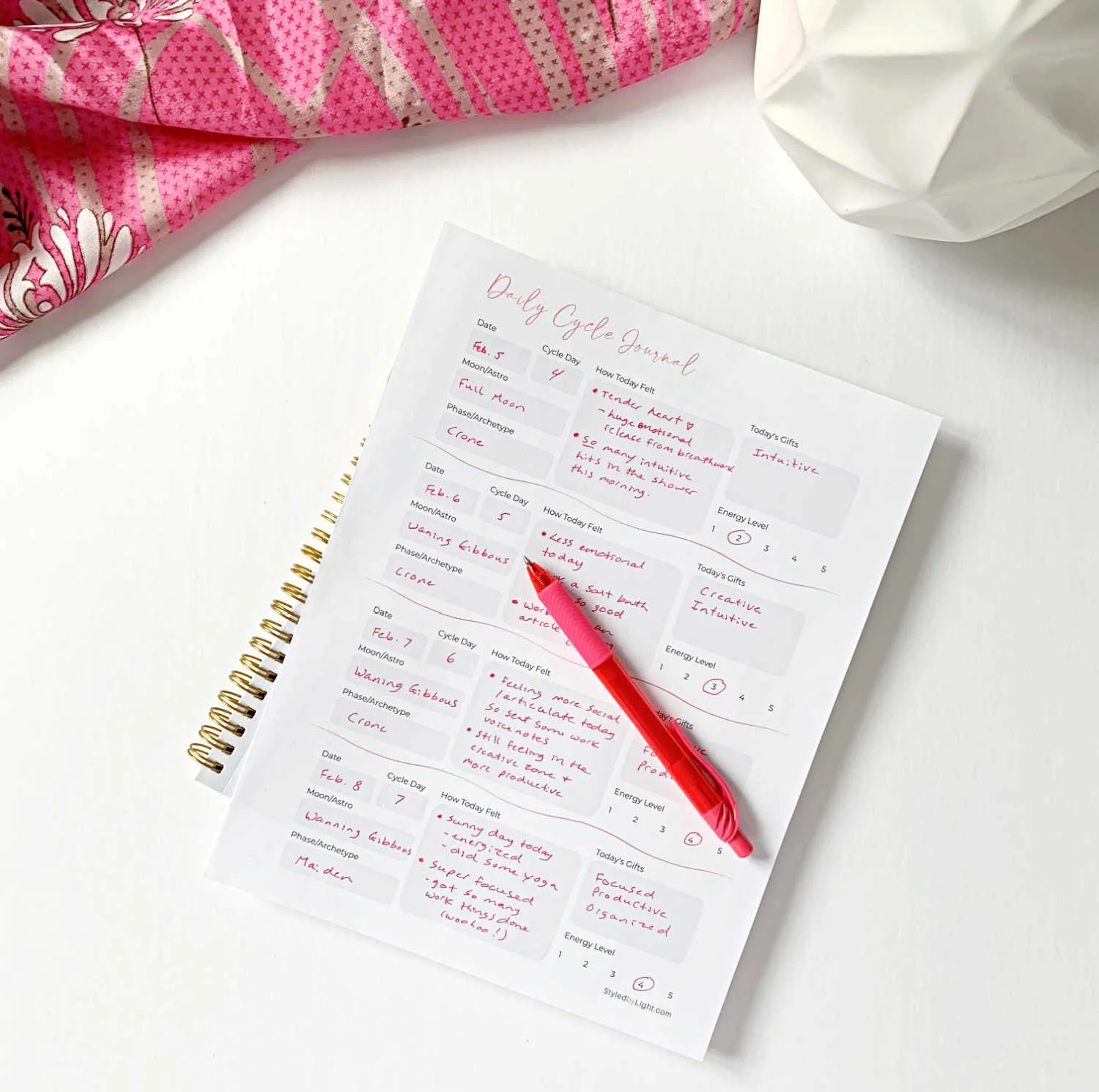 Image of a daily menstrual cycle tracking journal with a hot pink silk scarf and a geometrical flower pot in the background.