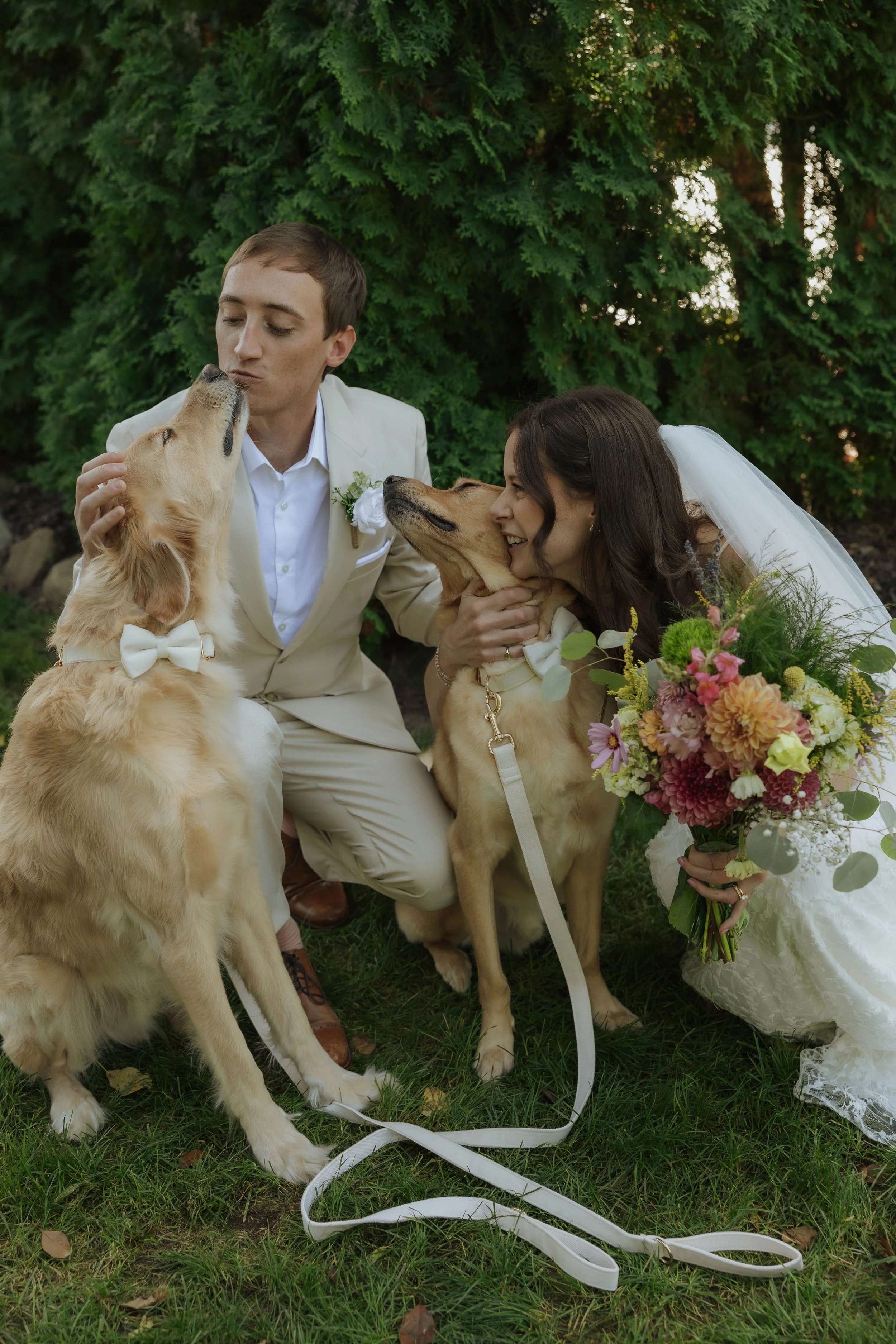 A newlywed couple, dressed in wedding attire, is outside surrounded by green foliage. They are with two golden retriever dogs, one of which is giving a kiss to the groom, and the bride is smiling while holding a colorful bouquet of flowers.