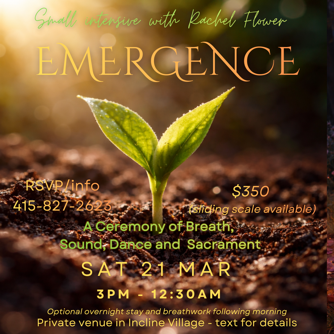 Copy of After the Light (2).png