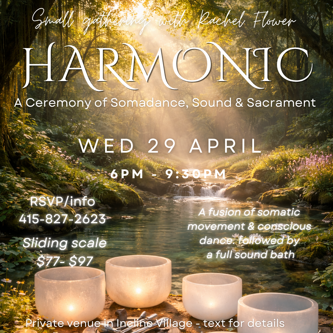 Somadance, Sacrament &amp; Sound - Harmonic