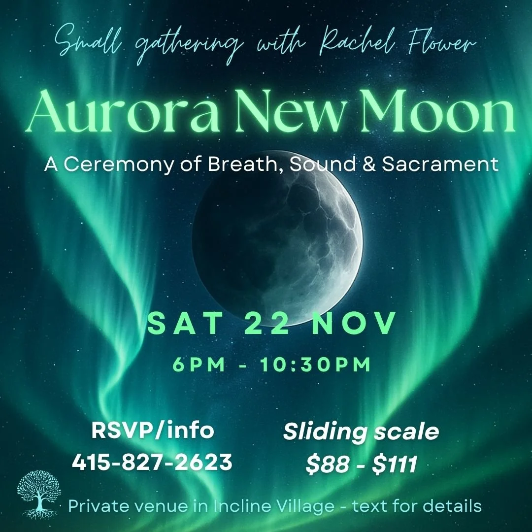 Aurora New Moon.jpg