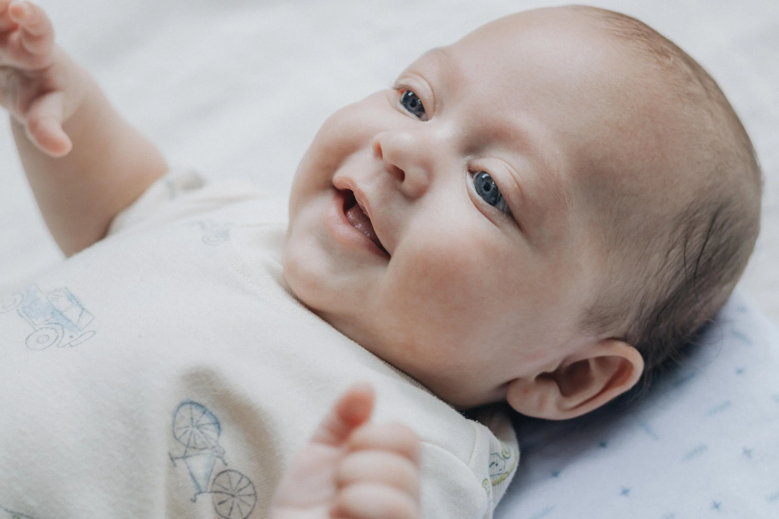 Cranial Nerves, Feeding, and Development: How Everything Works Together