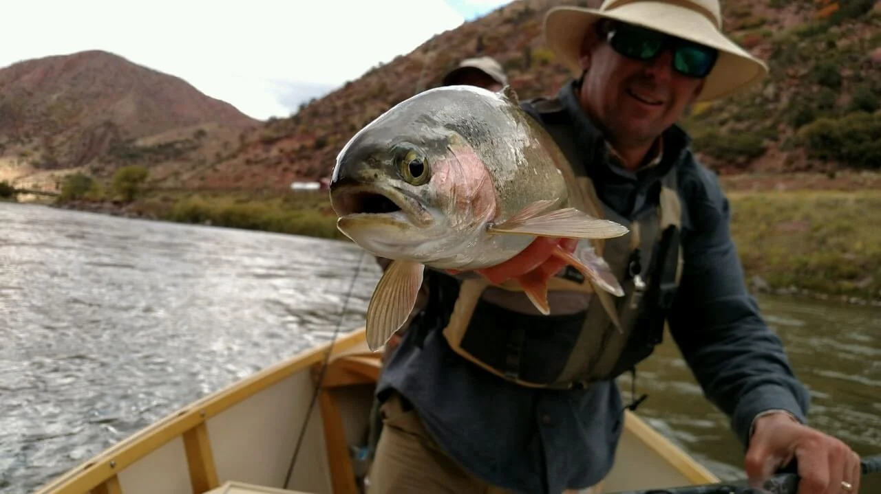 colorado-river-glenwood-springs-fly-fishing.jpg