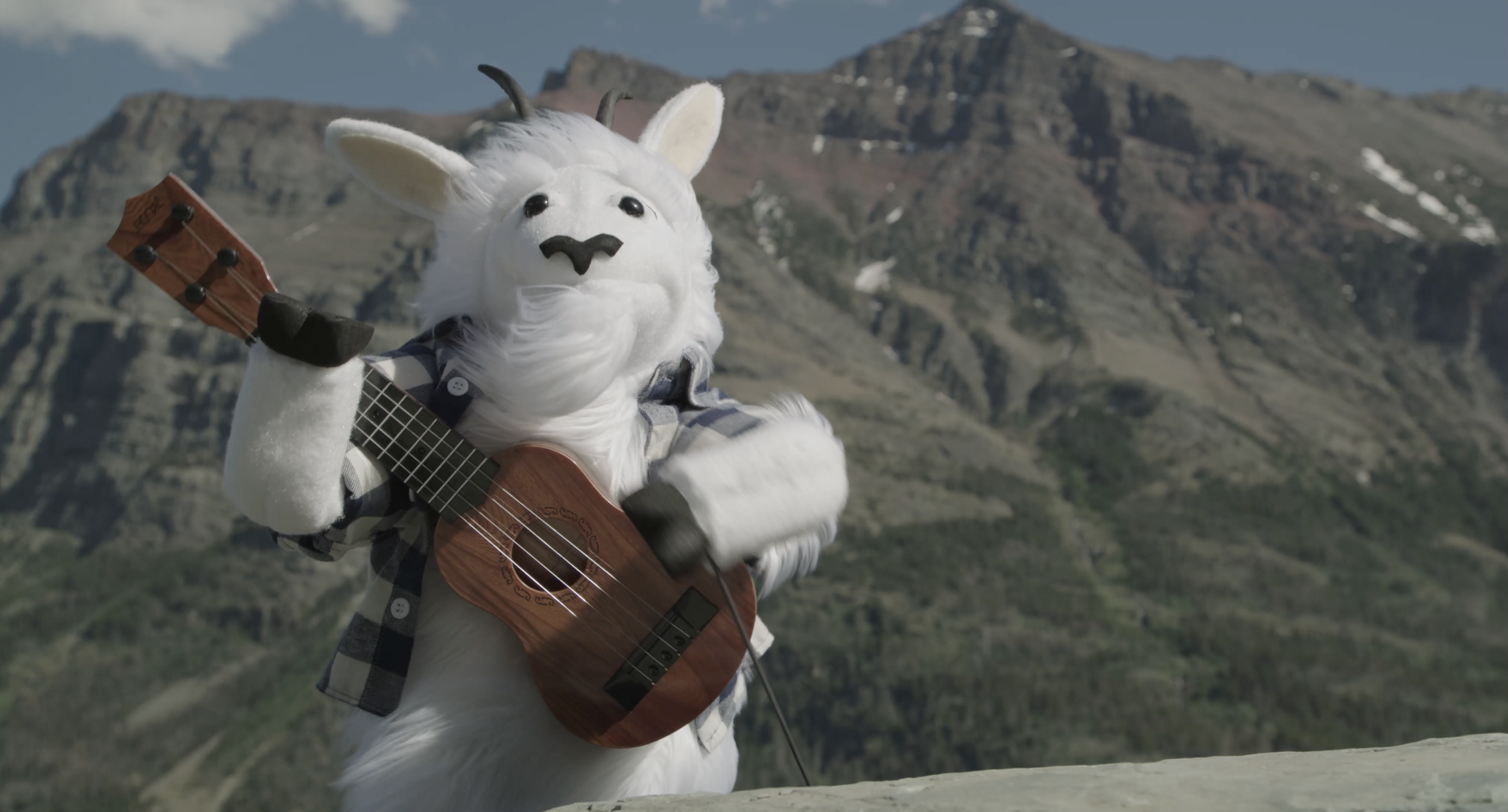 Funeral For a Glacier: Copyright © Tree Huggers Comedy