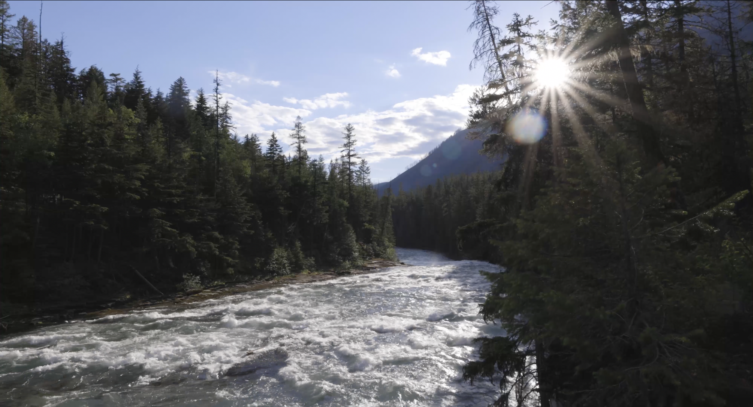 Funeral For a Glacier: Copyright © Tree Huggers Comedy