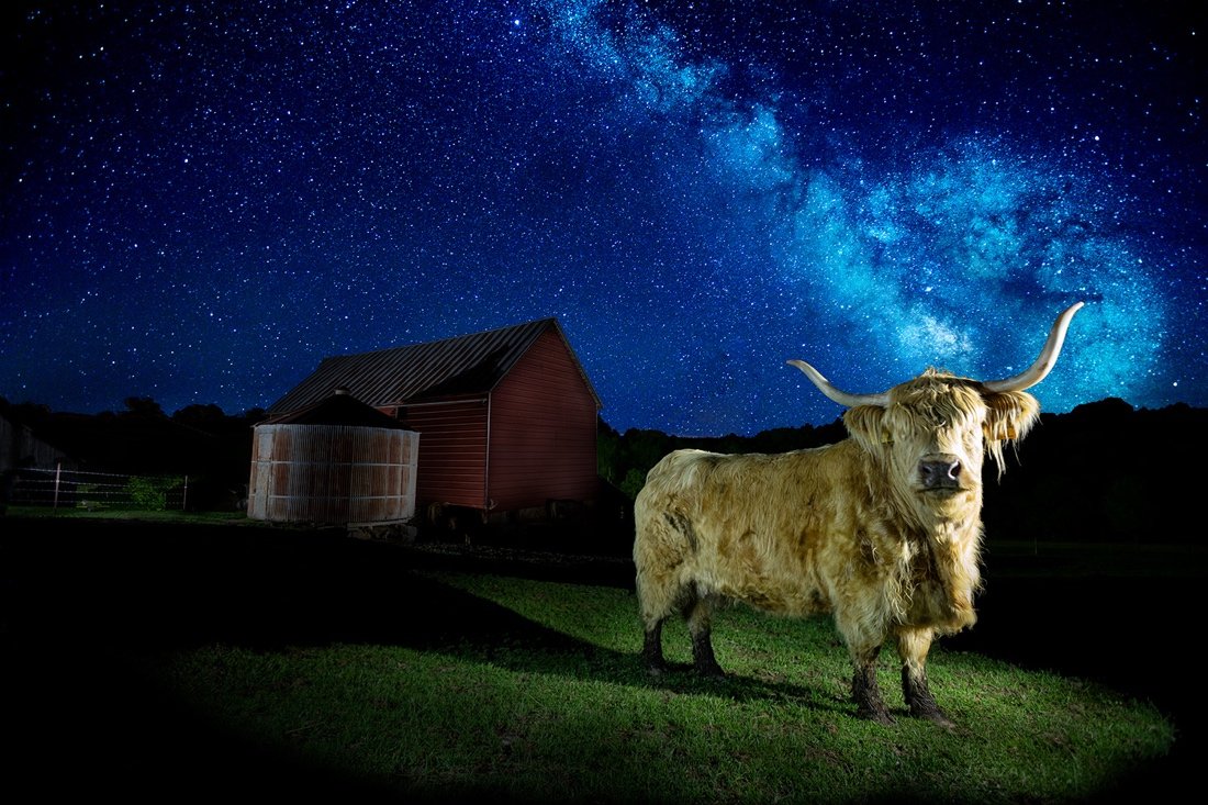 Michael Croatt 2.jpg