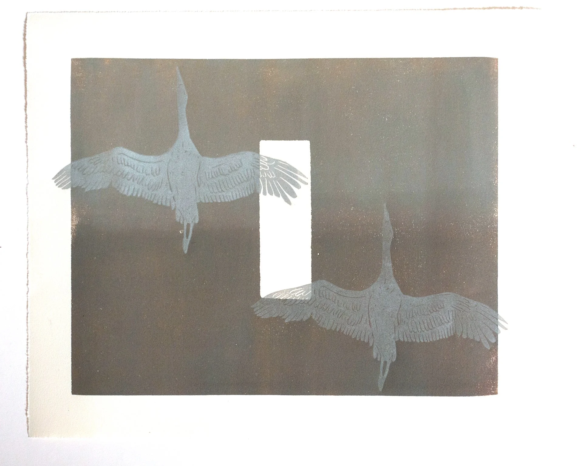 sandhill crane migration.jpg