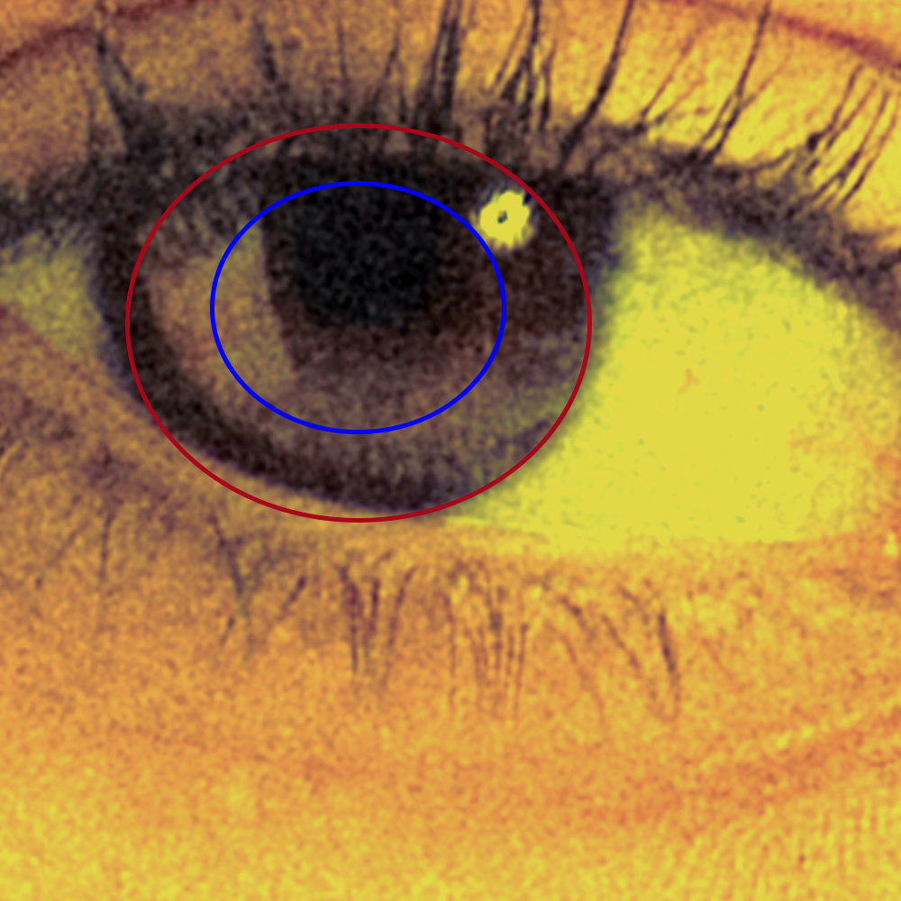 ART DIRECTION - EVANGELINA BOMPAROLA