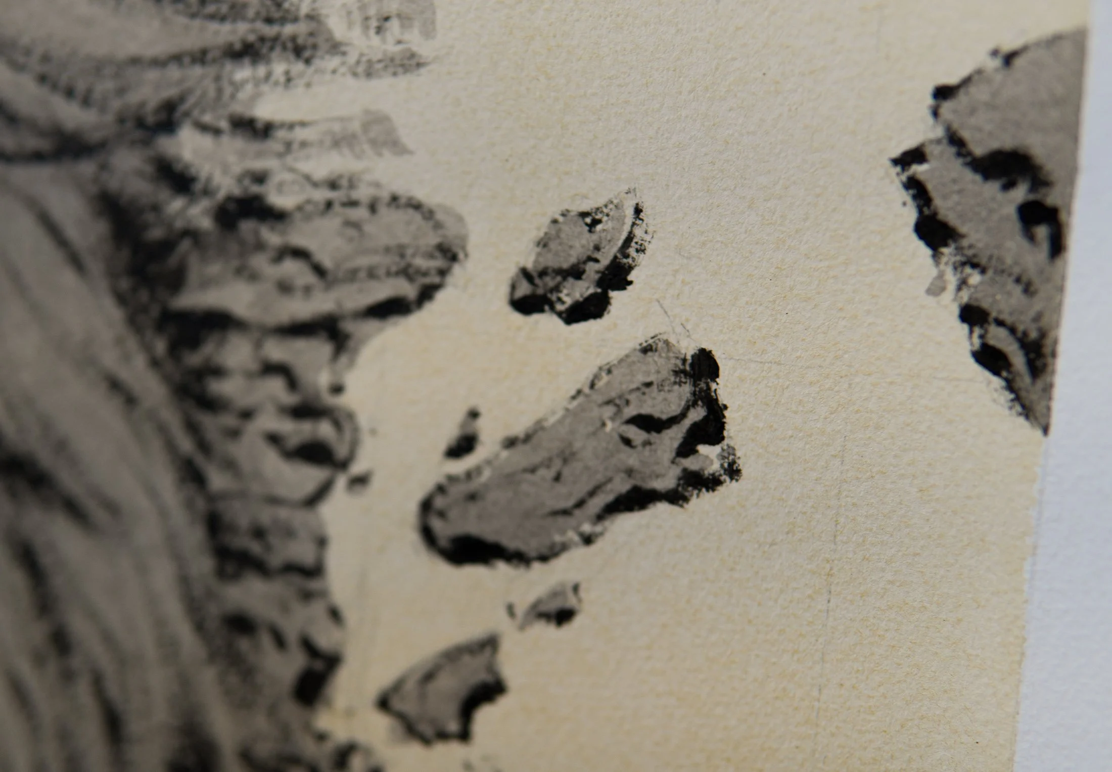 Vigia de la Sierra- Conceptual drawing WEB detail 4.jpg
