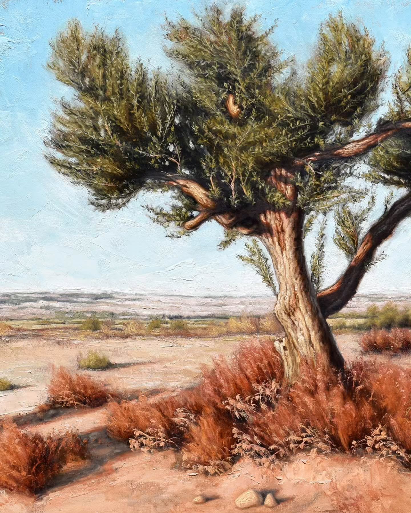 Centenary olive tree

Oil on linen

130 X 97 cm
51,1 X 37,7 in

#oilpainting
#landscapepaiting
#art 
#olivetree 
#spain