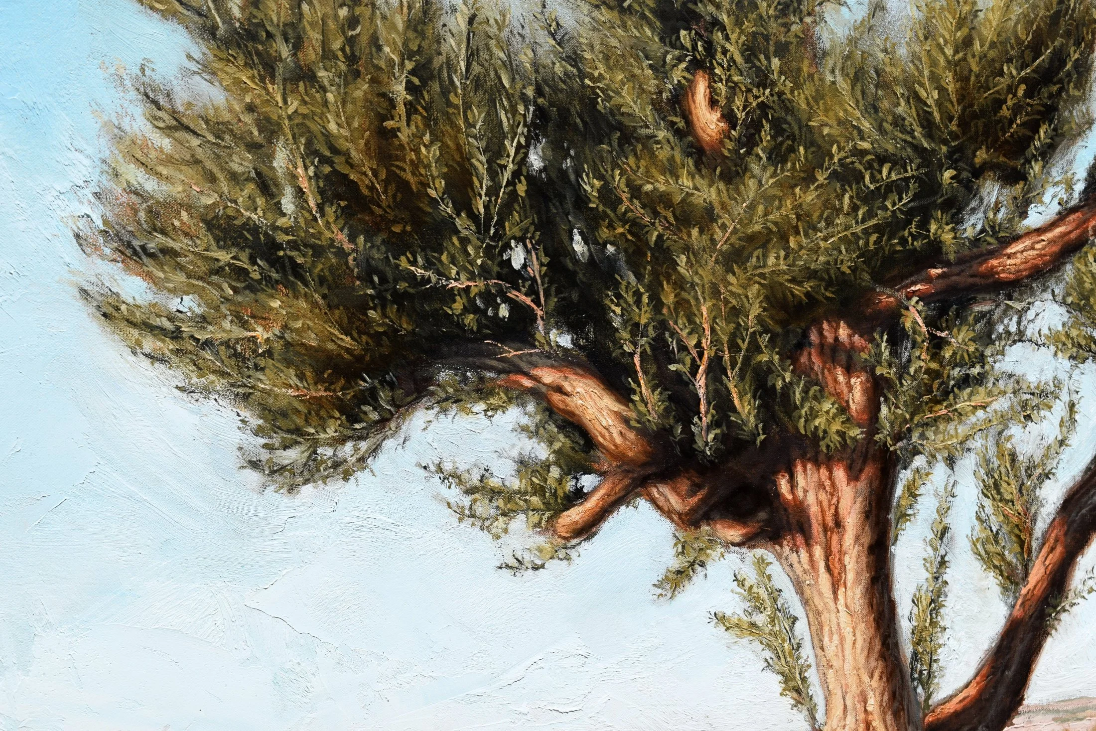 Detalle 4.jpg