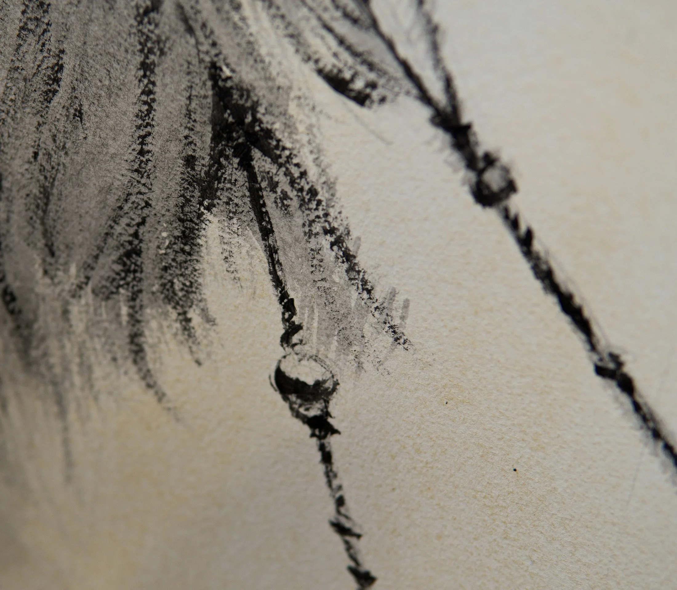 Vigia de la Sierra- Conceptual drawing WEB detail 5.jpg