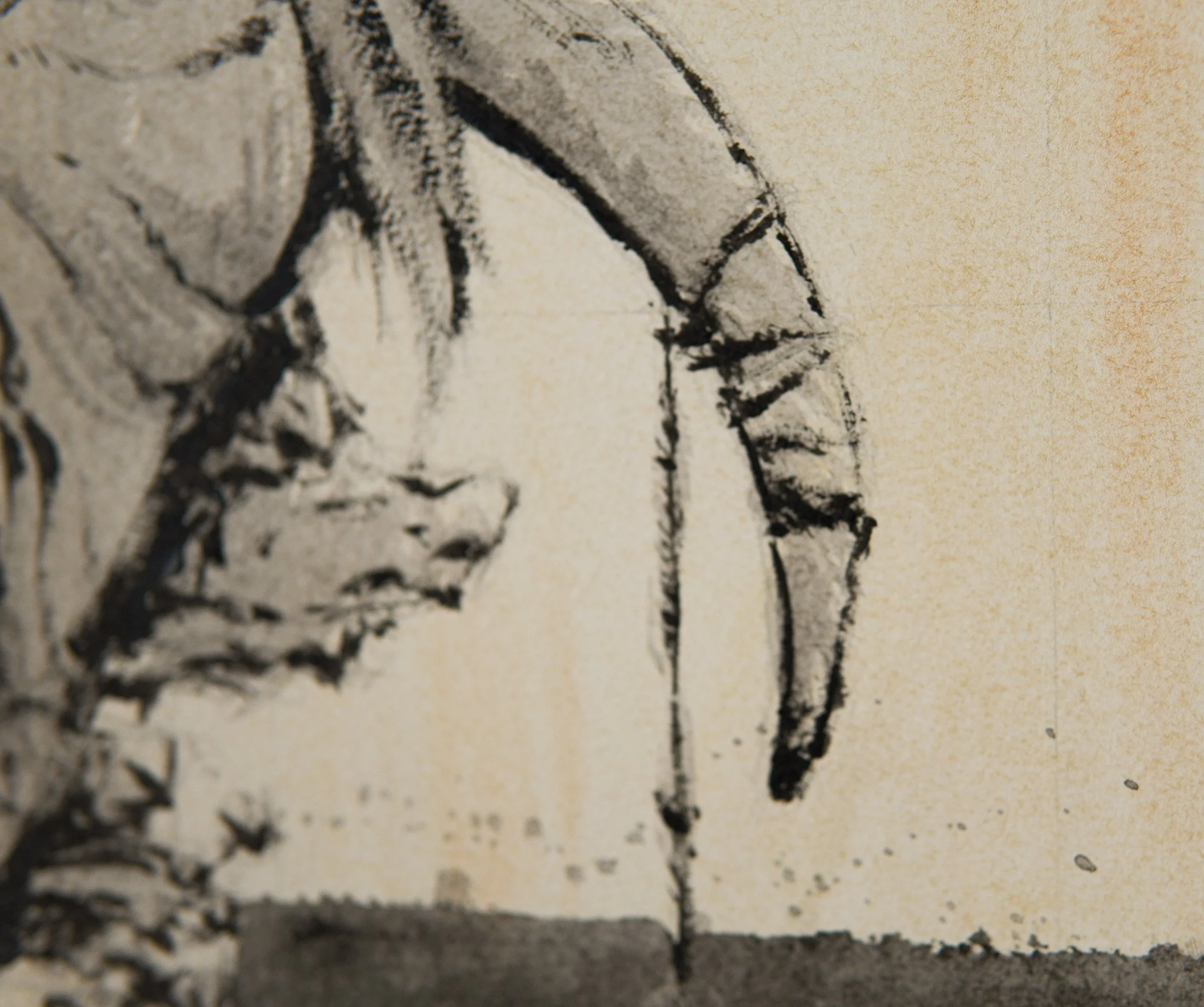 Los Arraigados. Dibujo conceptual 3- Espantalobos WEB detail 5.jpg