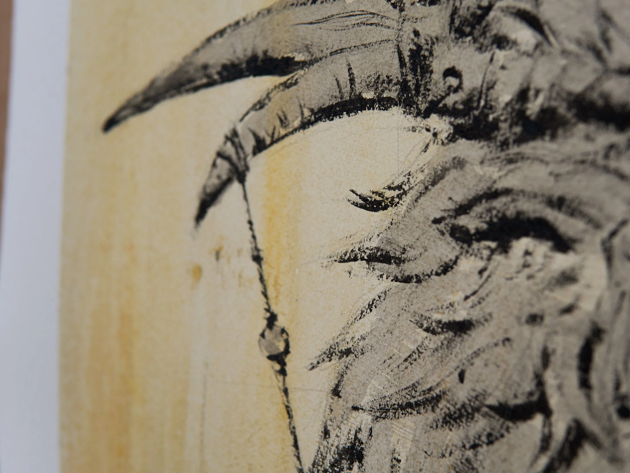 Los Arraigados. Dibujo conceptual 3- Espantalobos WEB detail 1.jpg