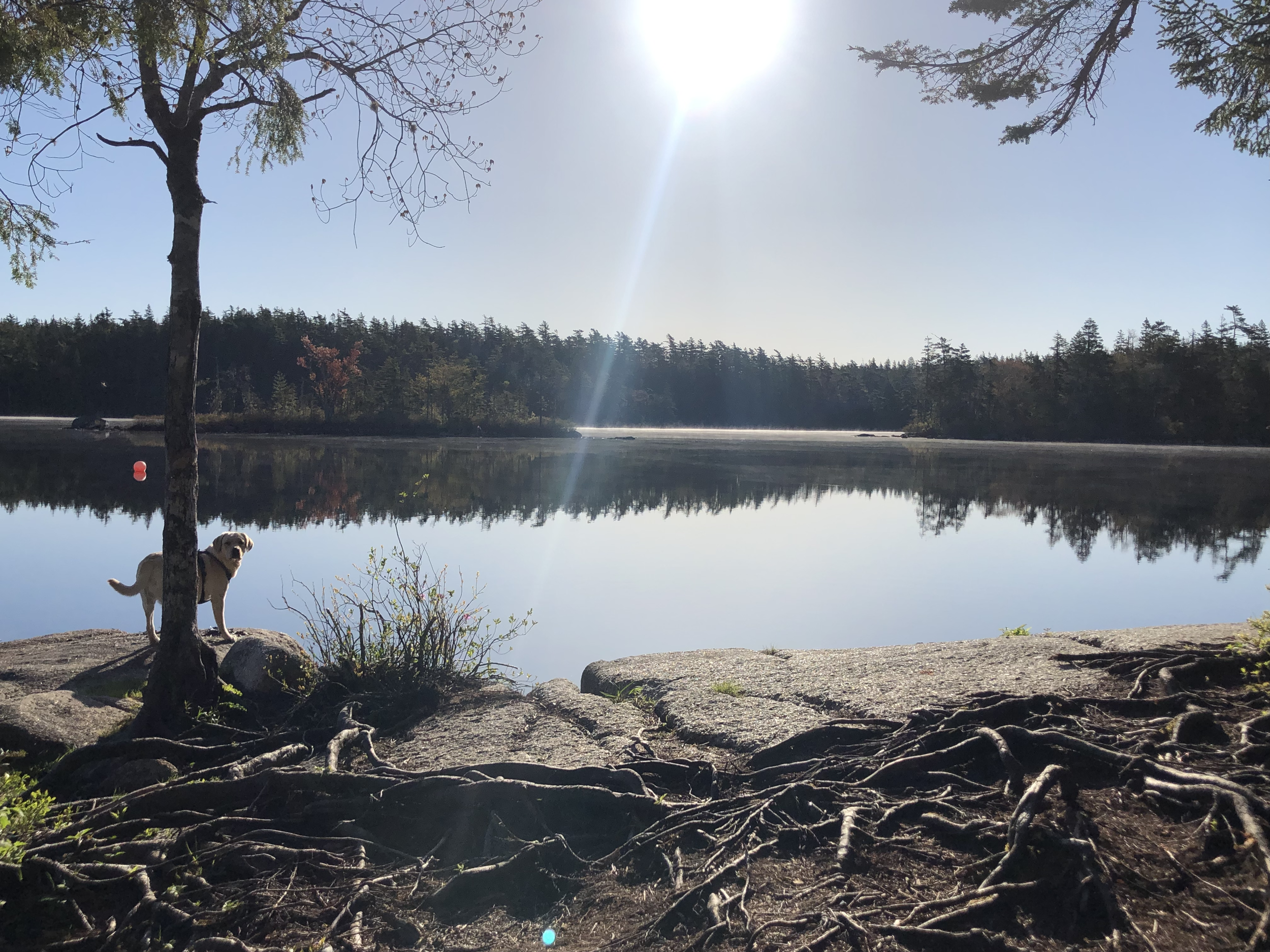 Outspoken's Summer: What's Our Team Up To?