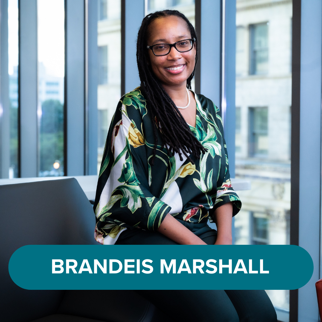 Data Equity Strategist