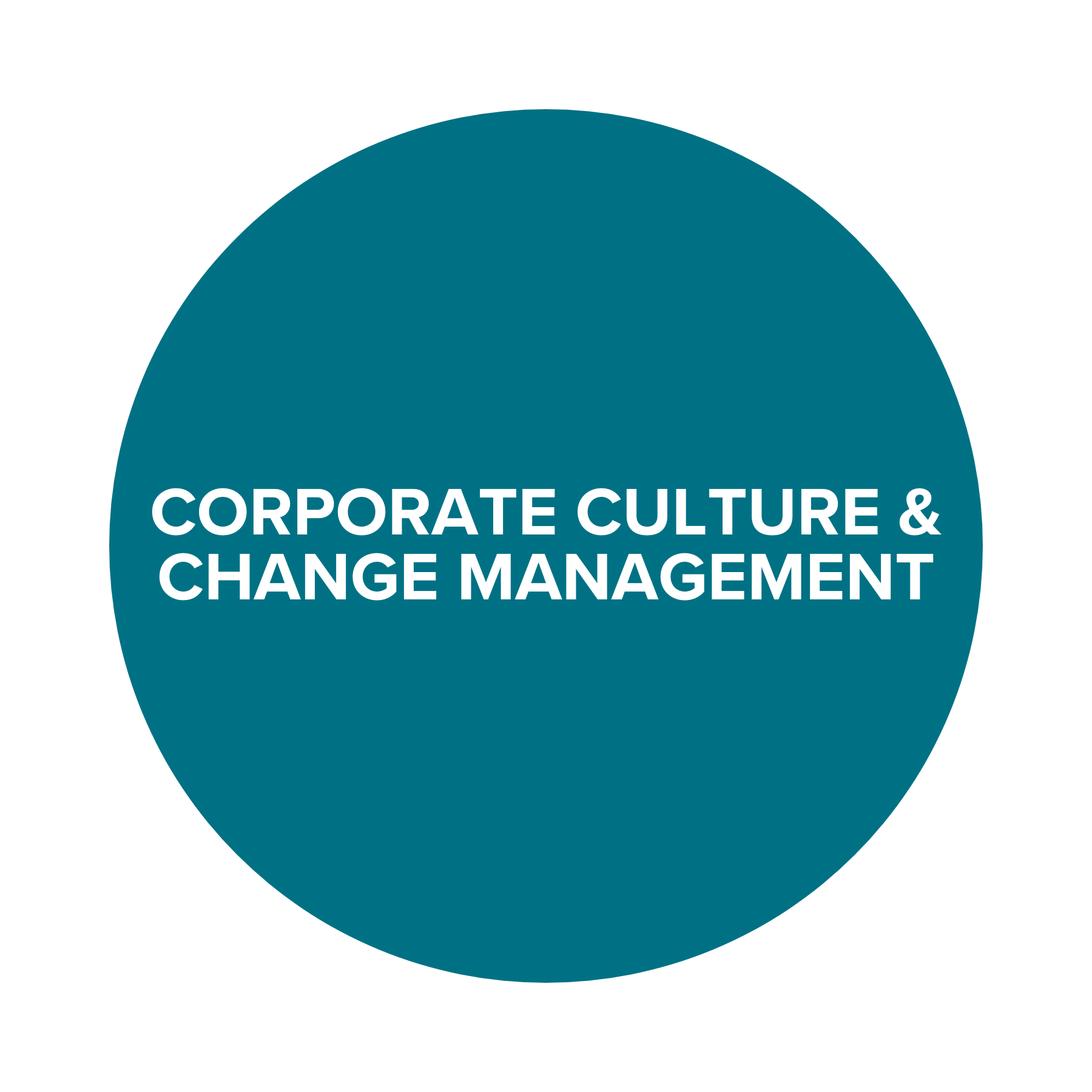 Corporate Culture & Change Management.png