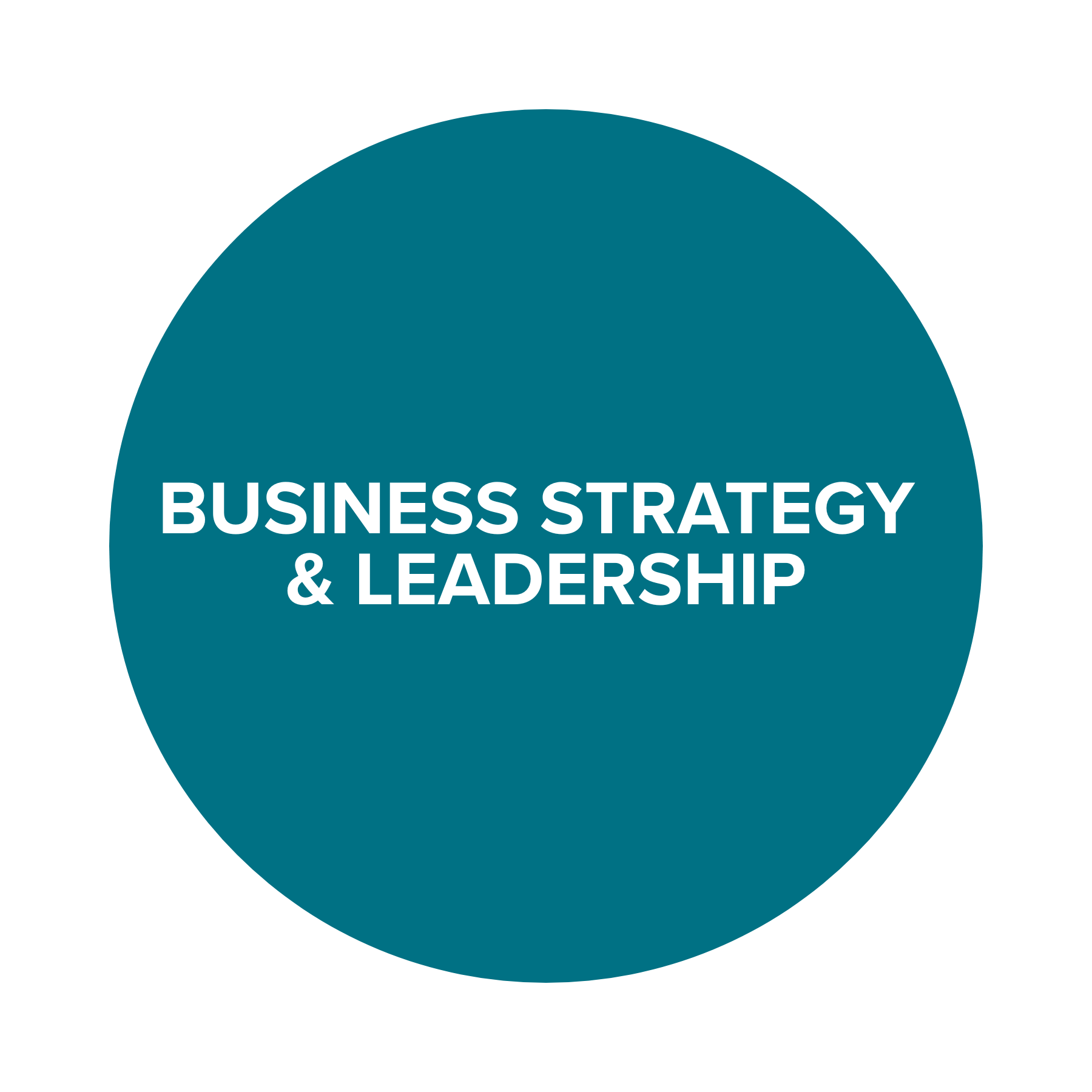 BUSINESS STRATEGY & LEADERSHIP.png