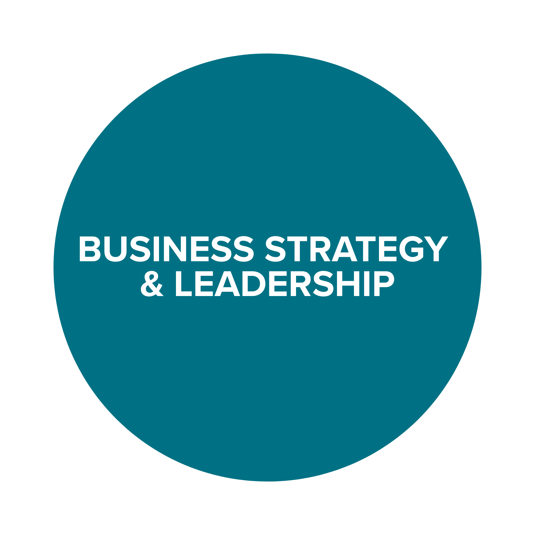 BUSINESS STRATEGY & LEADERSHIP.png
