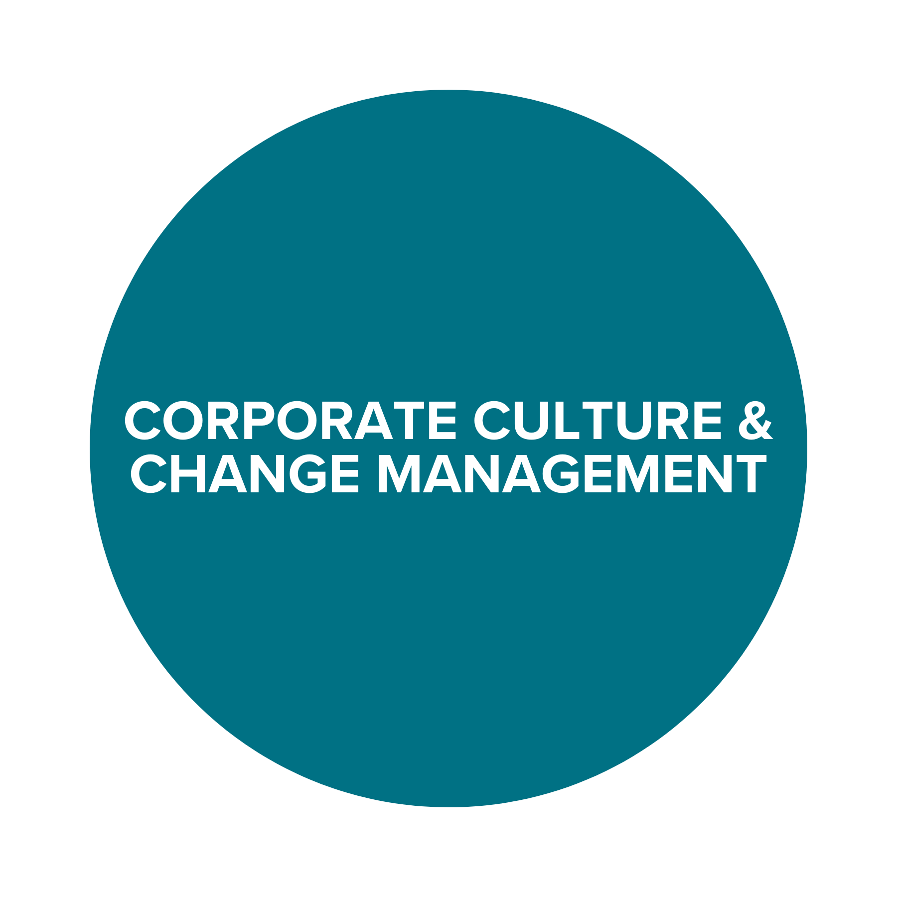 Corporate Culture & Change Management.png
