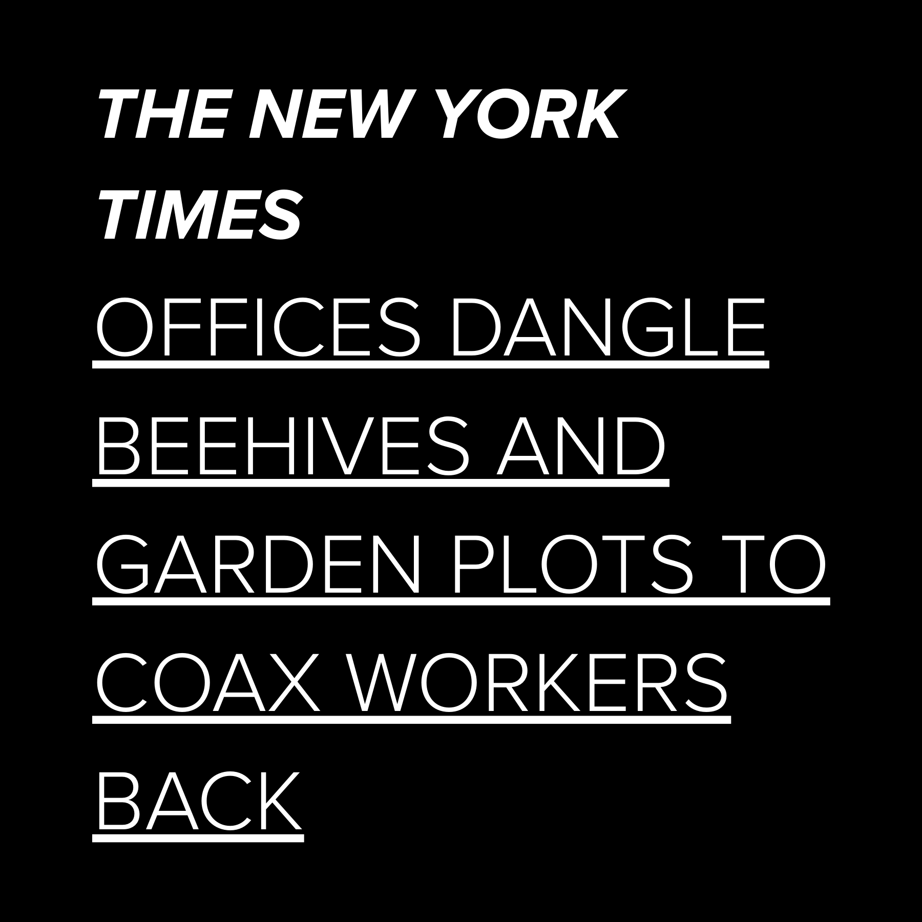 wilson-rich news 3.png