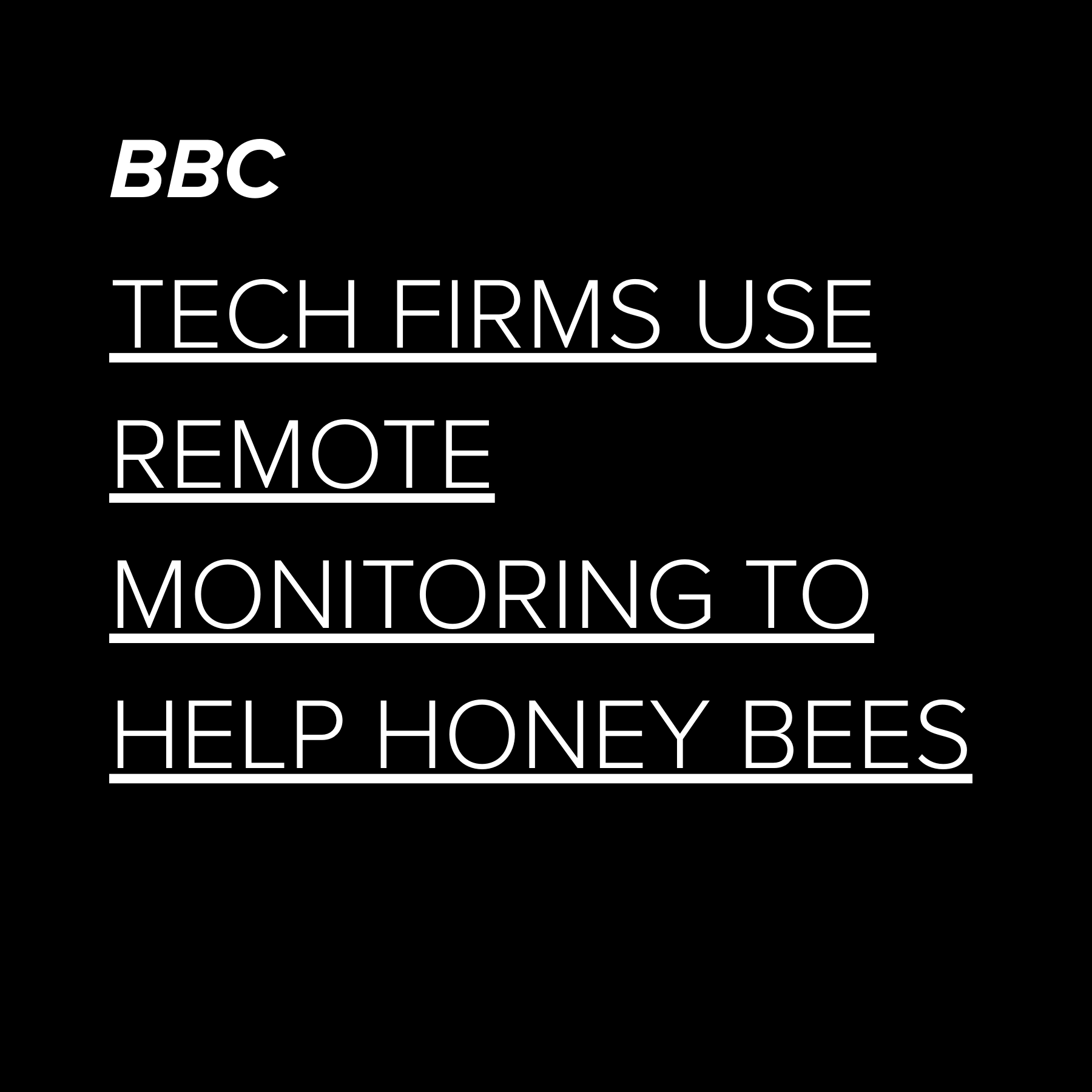 wilson-rich news 2.png