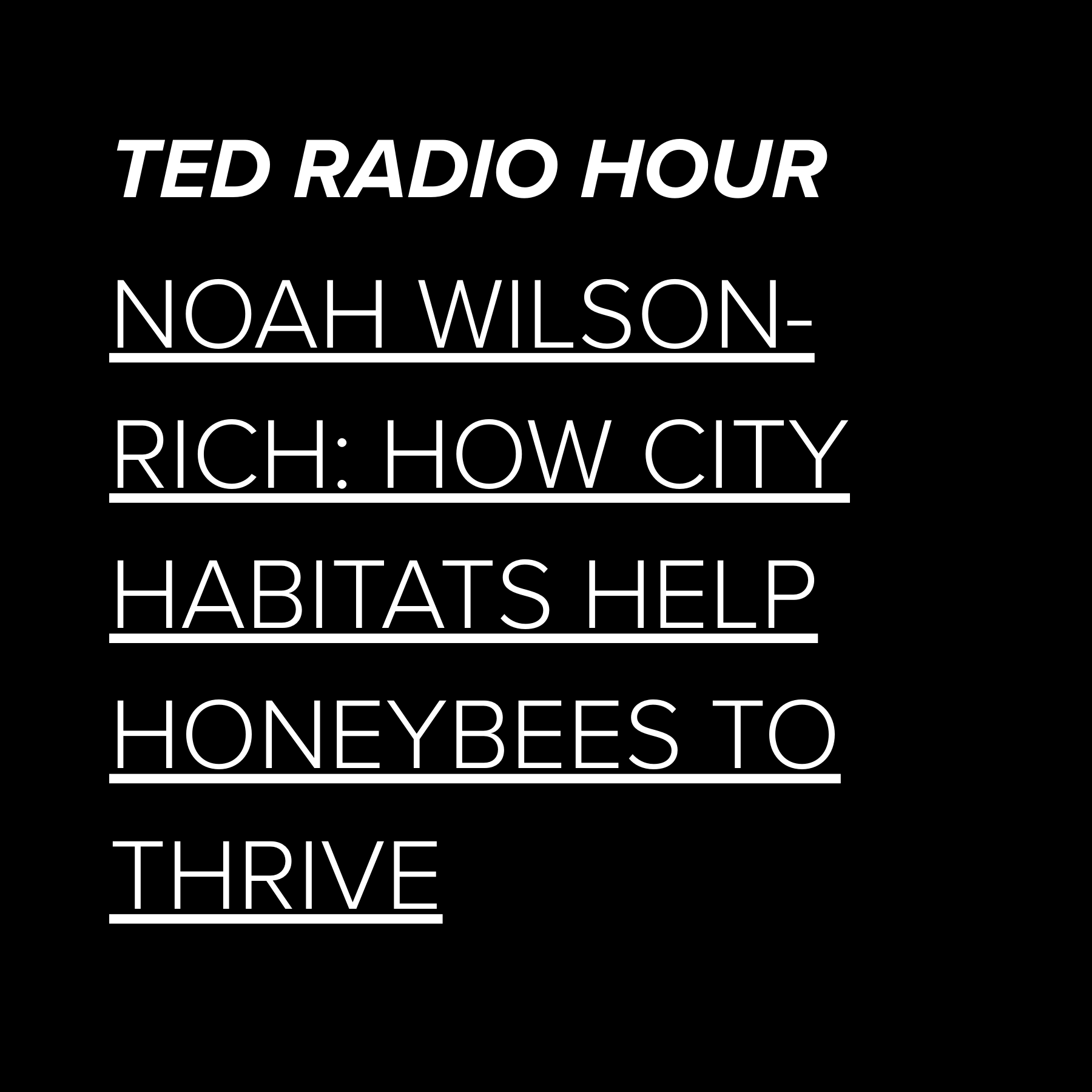 wilson-rich news 1.png