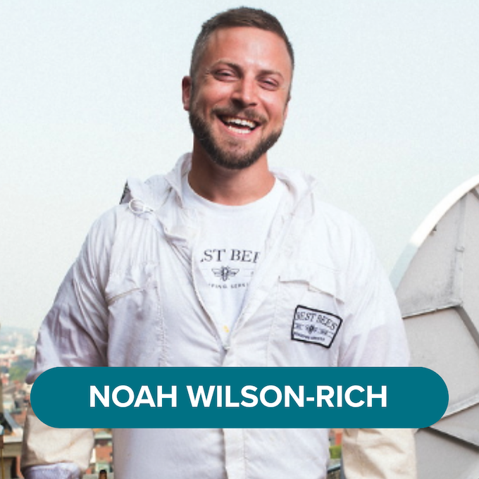 Noah Wilson-Rich.png