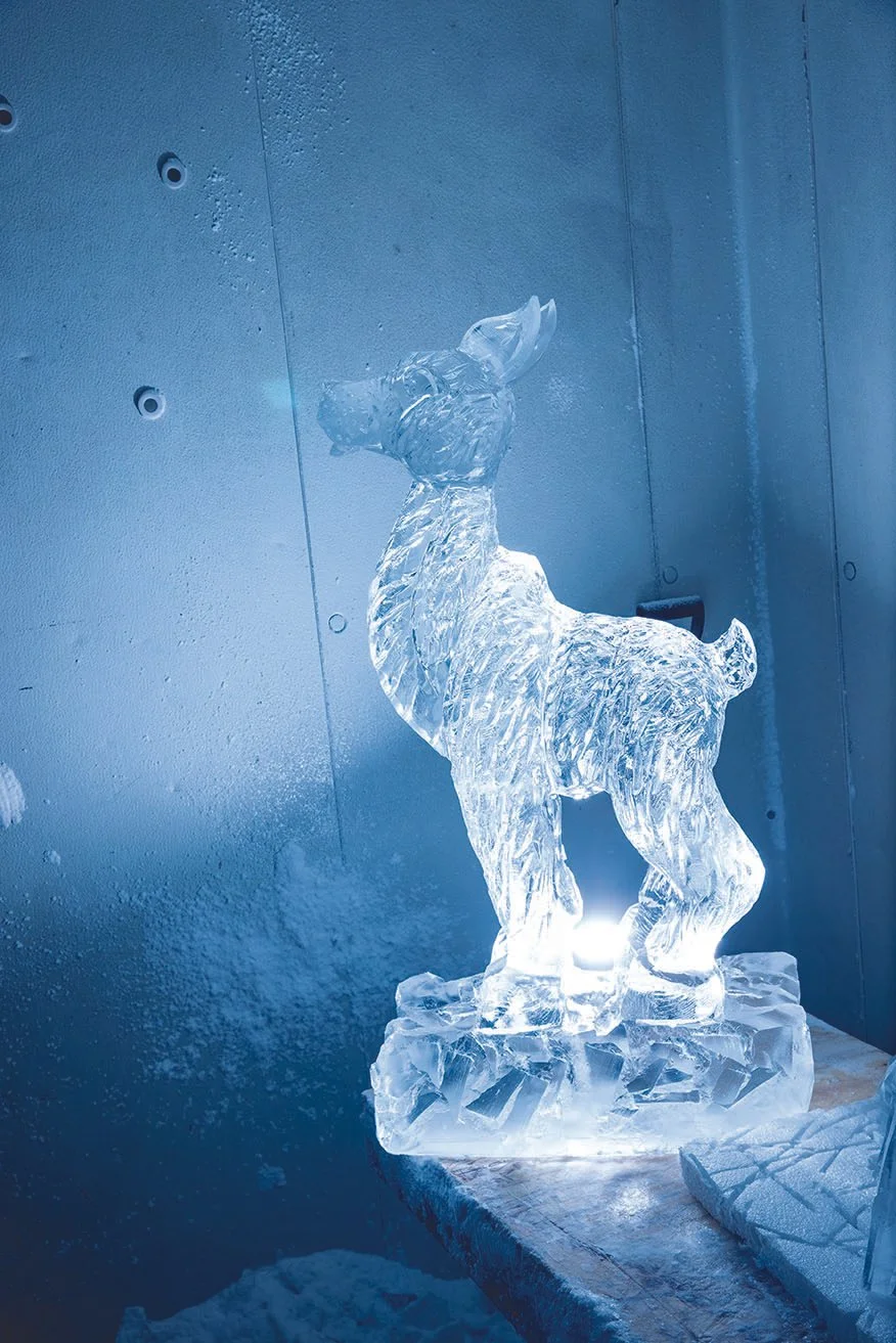 Ice Sculpting - Artist vs the Elements