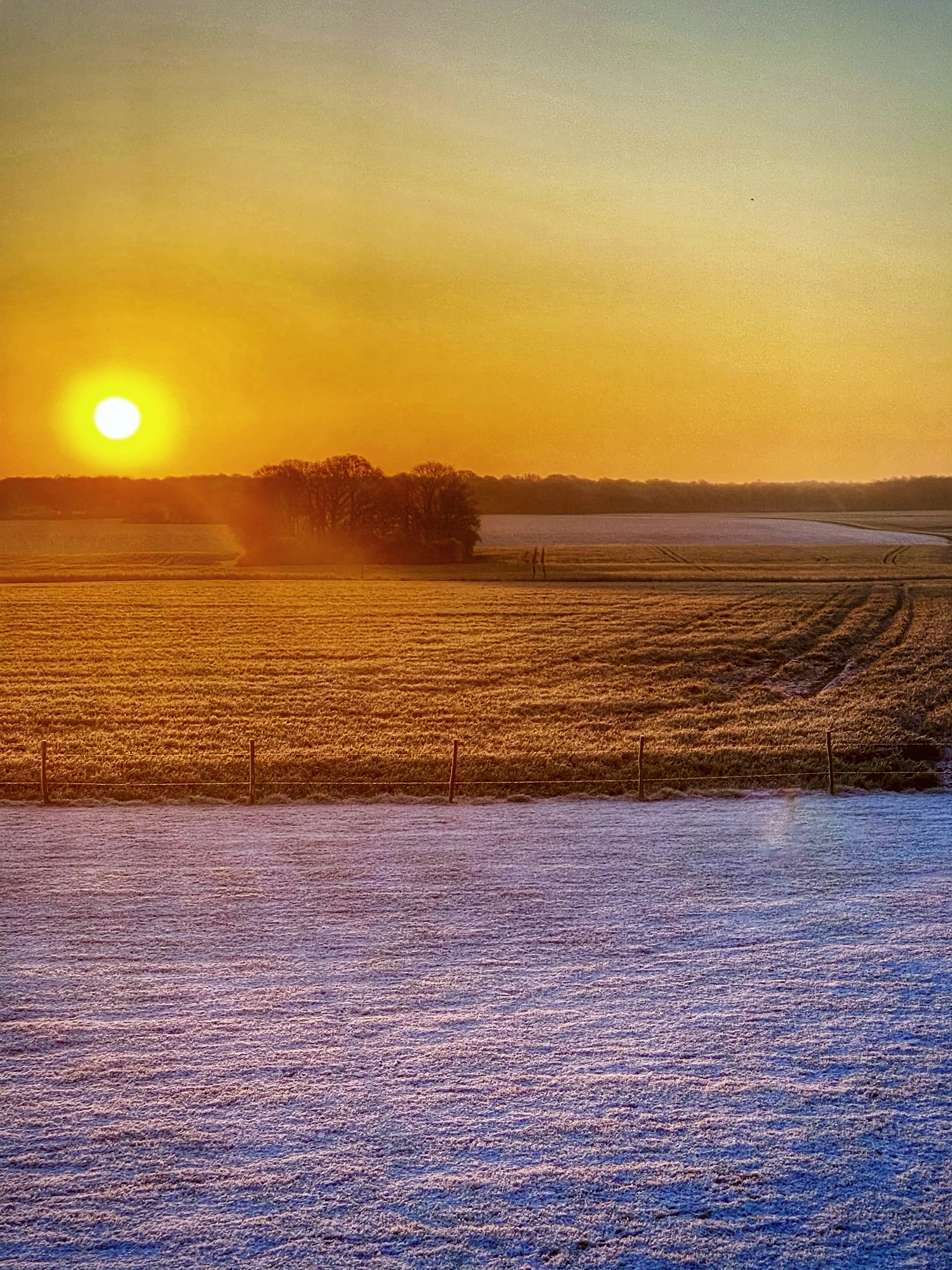 FullSizeRender 3.jpeg