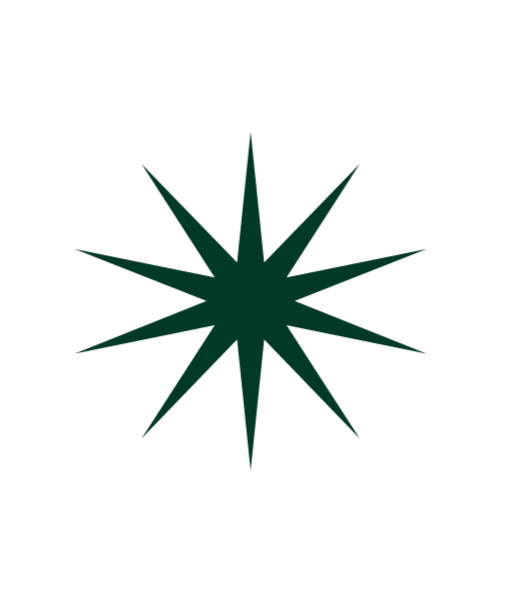A black background with a dark green star-shaped symbol featuring 16 points.