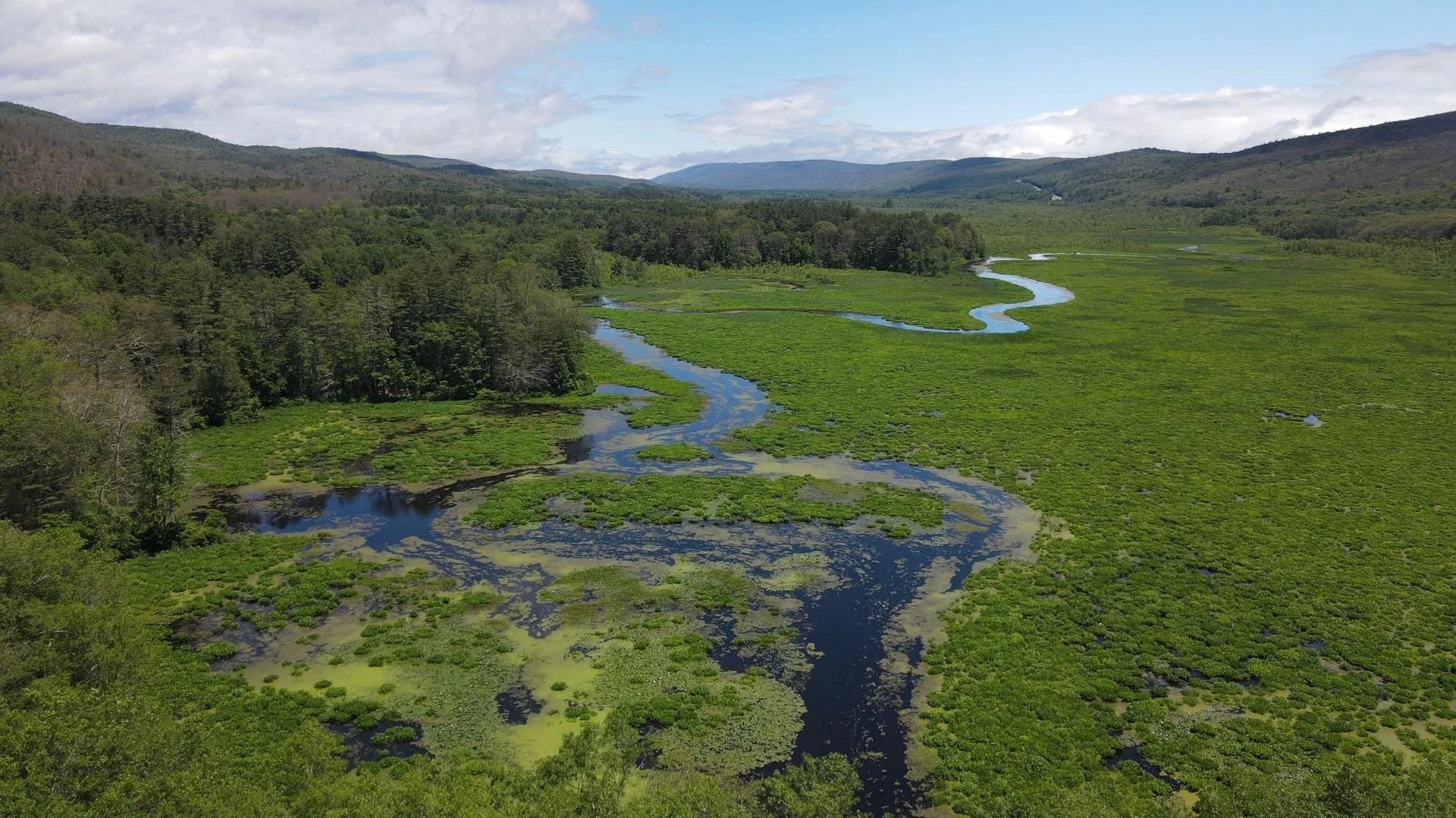 Aerial view of a winding river cutting through lush green Bashakill wetlands and forested hills under a partly cloudy sky.