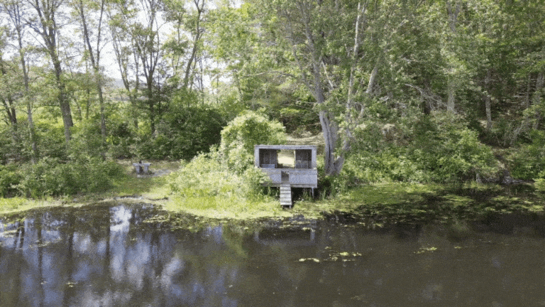 A small house on stilts by a pond surrounded by trees.