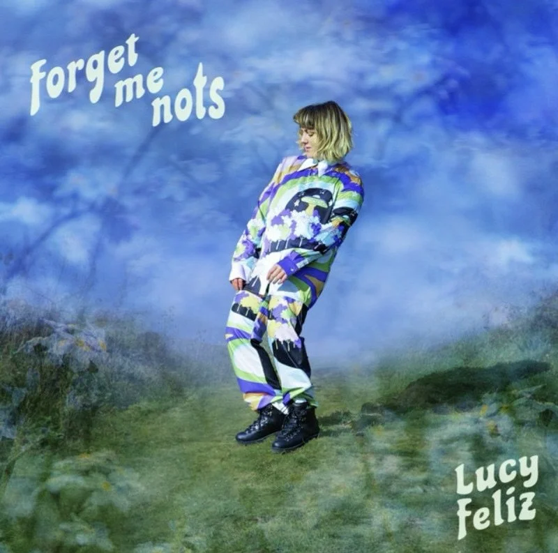 A person wearing a colorful patterned outfit standing on a grassy landscape with a blue sky background. Text in the sky says "forget me nols" and bottom right says "Lucy Feliz."