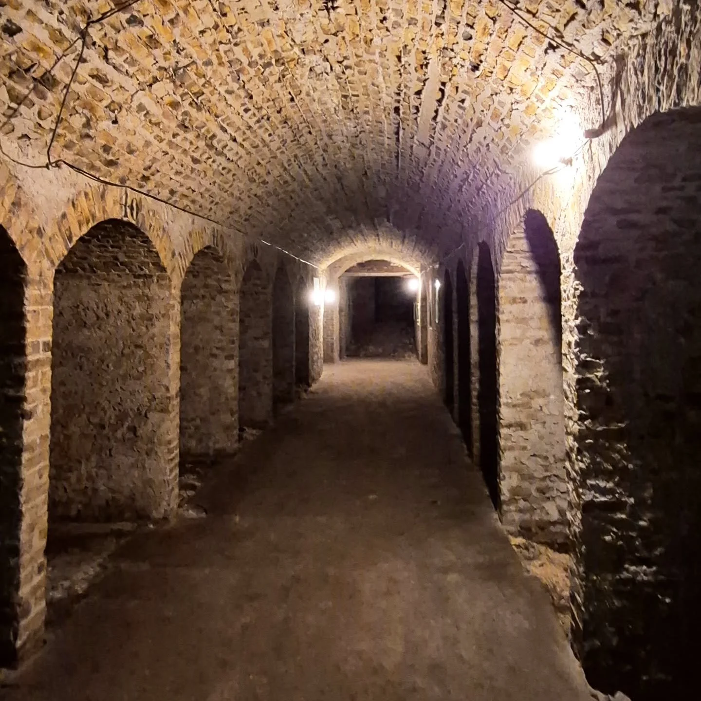 New Project Site Visit. Believe it or not, this is in Cork City. Watch this space......