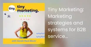 Tiny marketing - marketing strategies and systems for b2b service providers