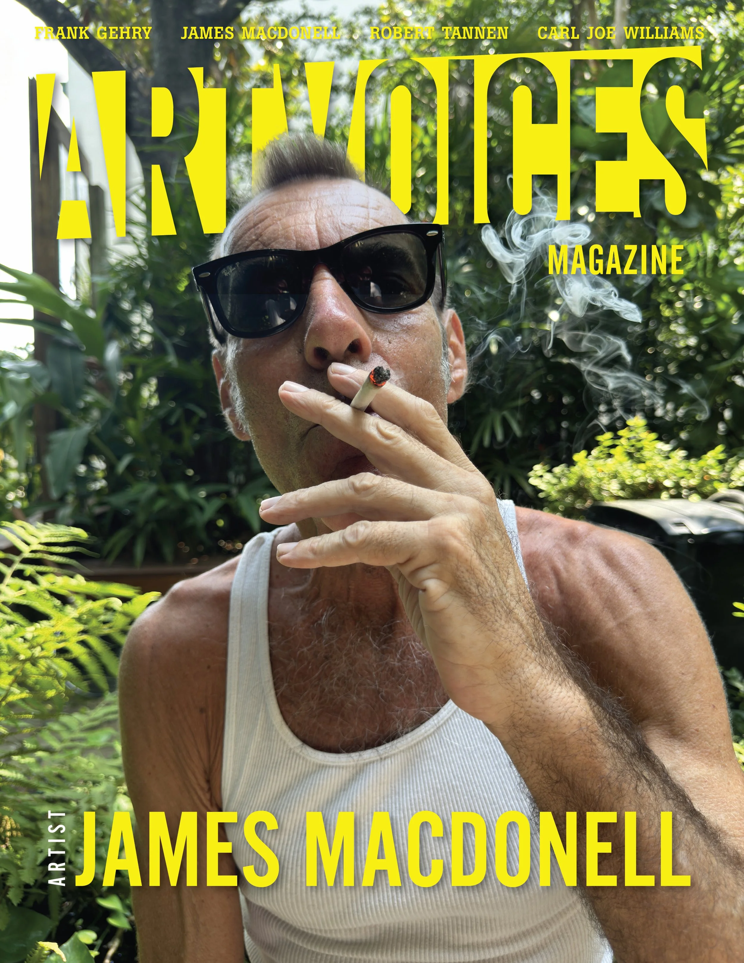 THE ARTIST'S STUDIO: JAMES MACDONELL 'THE CONNECTIVE TISSUE'