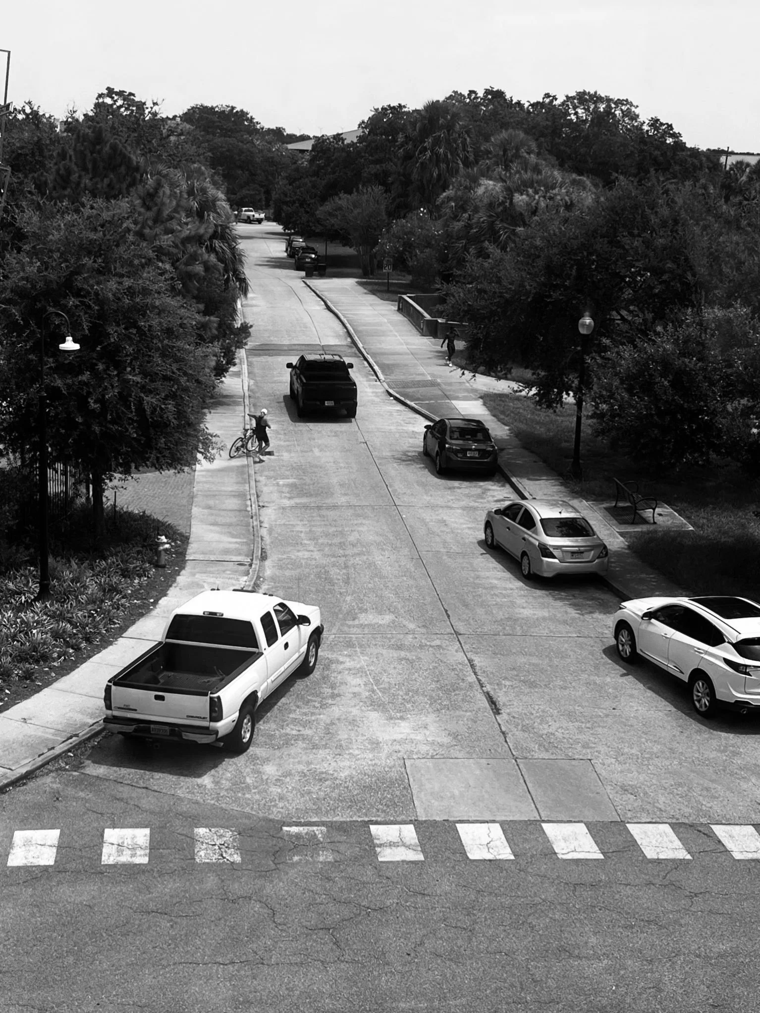 REVIEW: ‘PHOTOGRAPHY CAMP’ at the OGDEN MUSEUM OF SOUTHERN ART